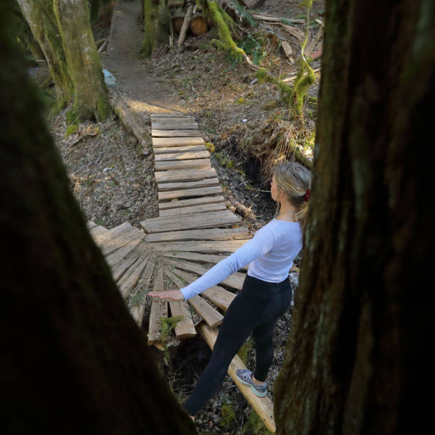 istock Female trail runner balances on log, by boardwalk path 1145177298
