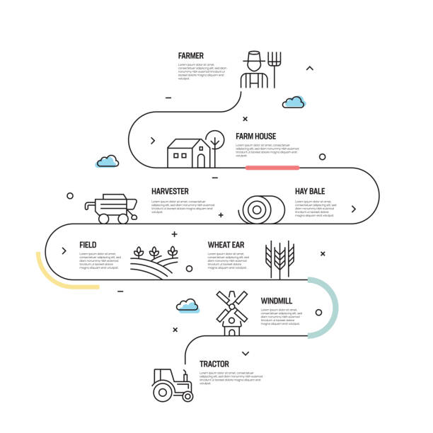 ilustrações, clipart, desenhos animados e ícones de conceito do vetor da exploração agrícola e da agricultura e elementos do projeto de infographic no estilo linear - produtor rural