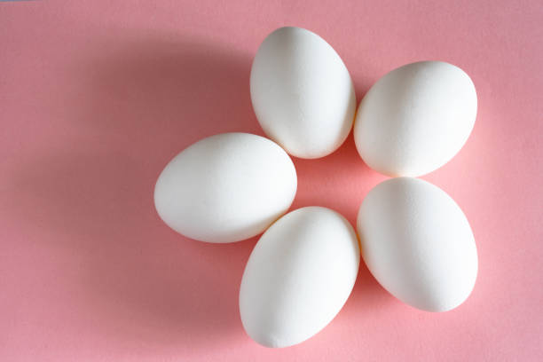 istock white chicken egg on pink pastel background top view. design and decor for Easter 1145181569
