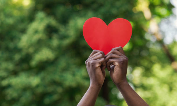 manos negras sosteniendo el corazón de papel rojo sobre fondo verde - people holding one person sign fotografías e imágenes de stock