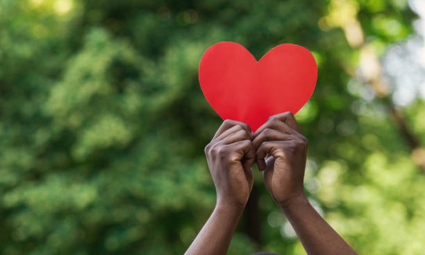Black hands holding red paper heart on green background Love, charity and kindness concept, copy space. Black male hands holding red paper heart on green nature background. volunteer photos stock pictures, royalty-free photos & images