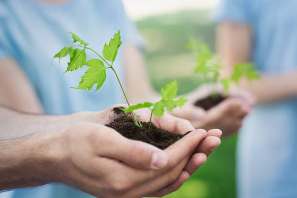 Group of volunteer with sprout for growing