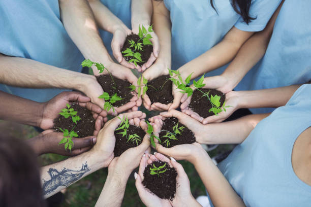 istock Group of volunteer with sprout for growing 1145183193
