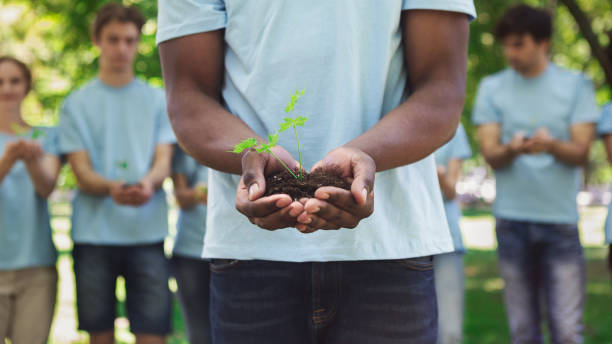 istock African-american man hands holding plant in soil 1145183209