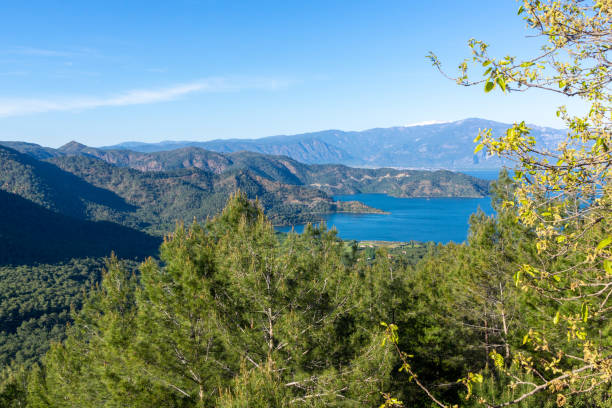 istock Pine Forest Over Sea in Mugla - Turkey 1145184047