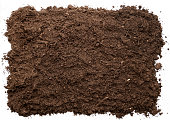 istock Garden soil texture background top view. cut out 1145184738