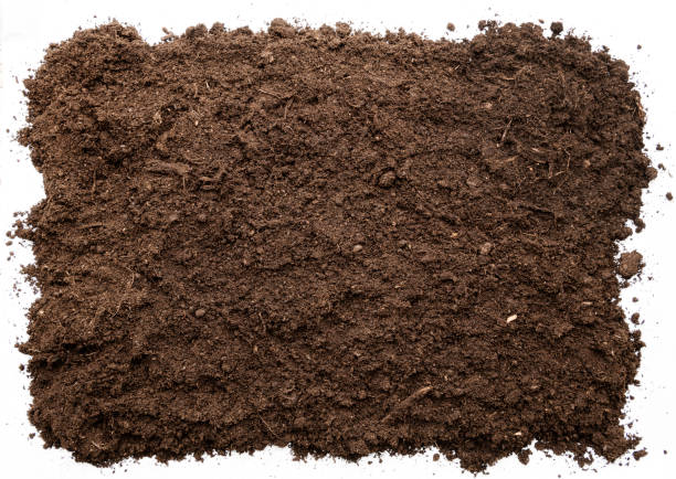 Garden soil texture background top view. cut out Garden soil texture background top view garden soil stock pictures, royalty-free photos & images
