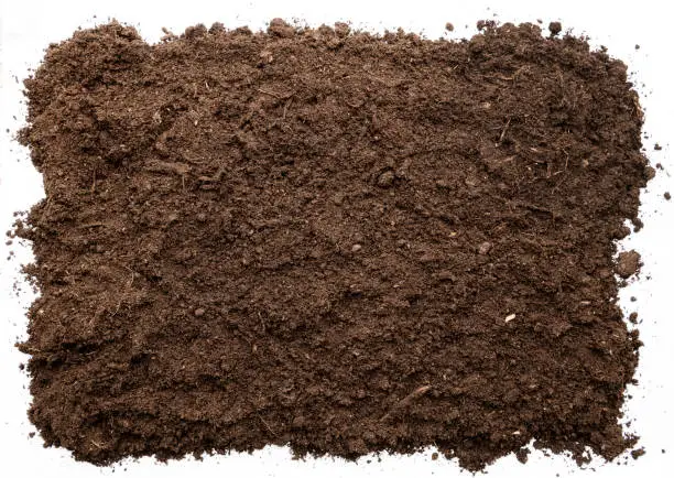 Photo of Garden soil texture background top view. cut out