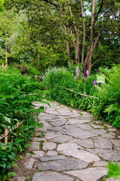 istock Shakespeare Garden, Central Park 1145184946