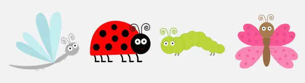 Vector illustration of Insect icon set line. Ladybug, dragonfly, butterfly and caterpillar. Cute cartoon kawaii funny character. Flat design. White background. Isolated.