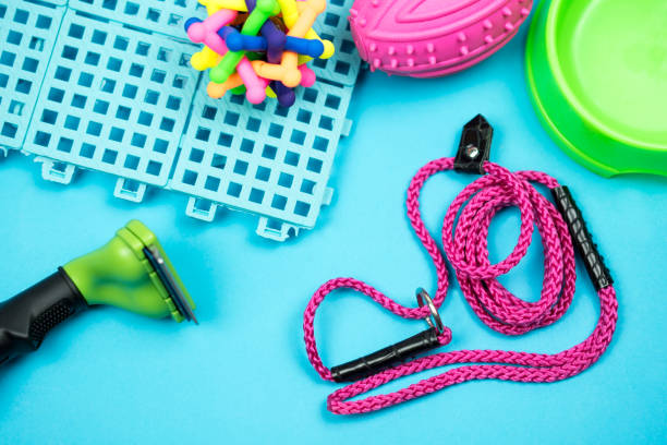 istock Pet accessories concept.  Pet leash with rubber toy on blue background. 1145193394