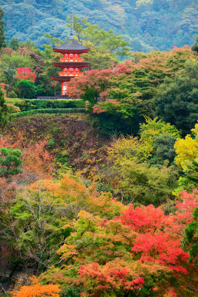 pagoda koyasu nella zona del tempio di kiyomizu-dera nella stagione autunnale, kyoto - shinto japan temple nature foto e immagini stock