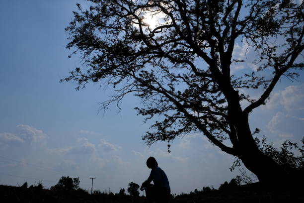 People standing under a big tree