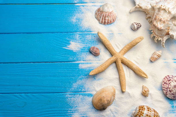 istock Summer travel background, coast concept 1145199145