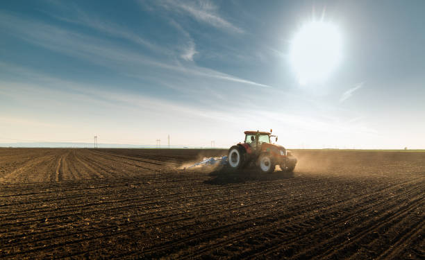 istock Farmer with tractor seeding  crops at agricultural field 1145199768