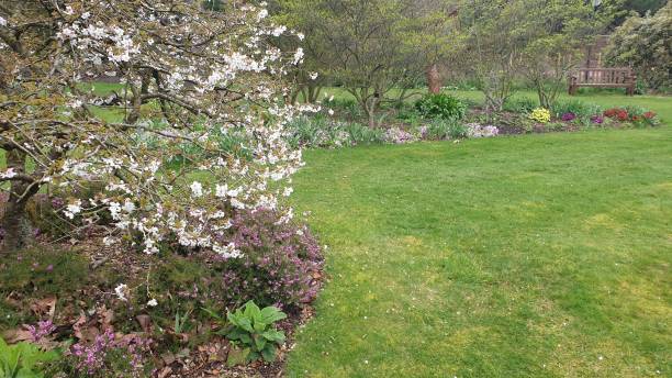 istock Flowers and shrubs in botanic garden in spring 1145200956