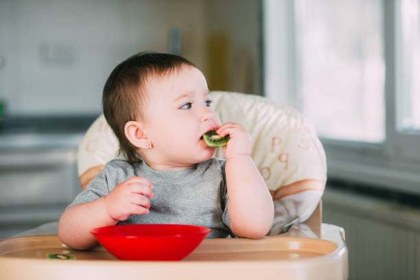 little girl on a high chair eating kiwi little girl on a high chair eating kiwi mini kiwi stock pictures, royalty-free photos & images