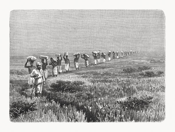 East African convoy with bearers, wood engraving, published in 1897 East African convoy with bearers in the 19th century. Wood engraving, published in 1897. african slaves stock illustrations