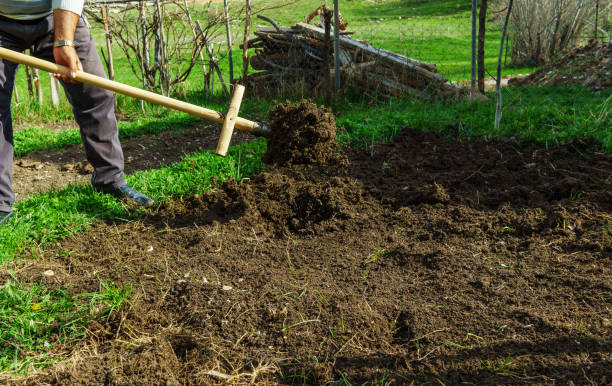 istock preparation of soil for vegetable planting 1145205966