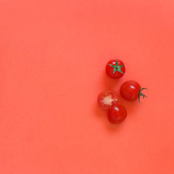 istock Cherry tomatoes on a coral red background 1145206393