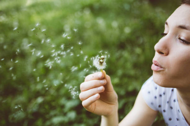 공원에서 민들레를 불고 있는 평온한 여자 - women dandelion freedom nature 뉴스 사진 이미지