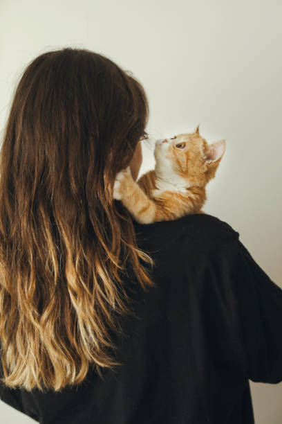 istock woman with beautiful cat in her arms 1145206726