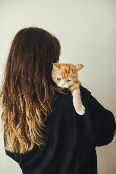 istock woman with beautiful cat in her arms 1145207351