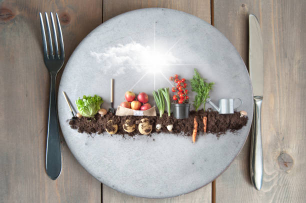 istock Organic garden on a plate 1145207587