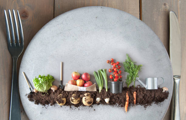 plant based diet concept, organic garden - dirt food plate fork imagens e fotografias de stock