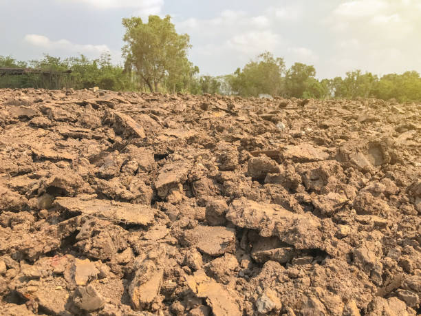 istock pile of cracked dry dirt in construction site 1145207763