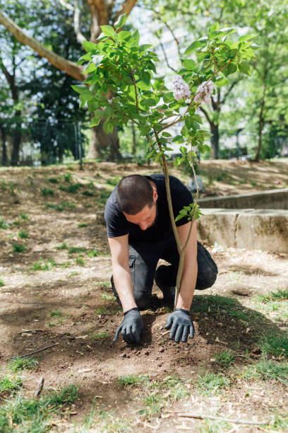istock Earth Day, planting the trees 1145209598