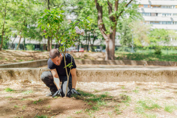 istock Earth Day, planting the trees 1145209664