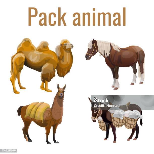 Pack Animals Set Stock Illustration - Download Image Now - Agriculture,  Animal, Animal Wildlife - iStock