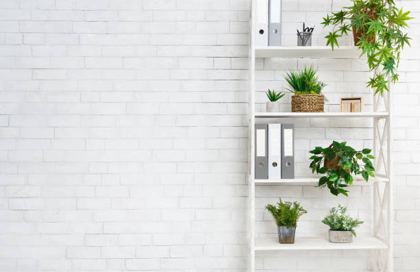 istock White bookcase with plants and folders over wall 1145214020