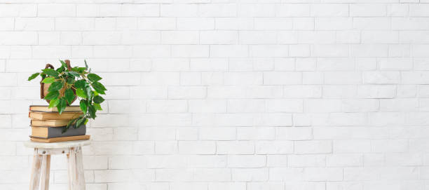 istock Plant on stack of books over white brick wall 1145214023