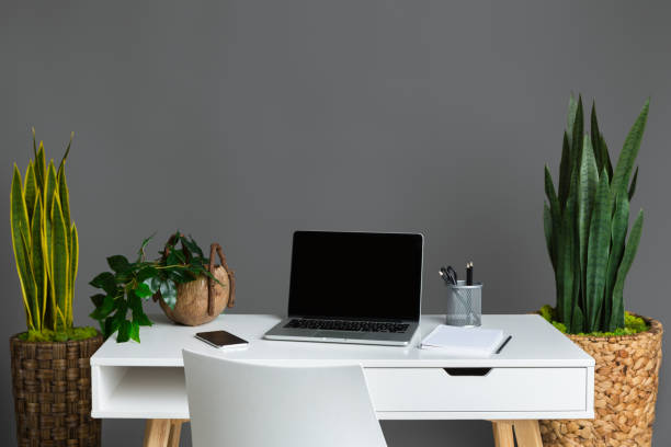 Cozy home office. Laptop and various plants