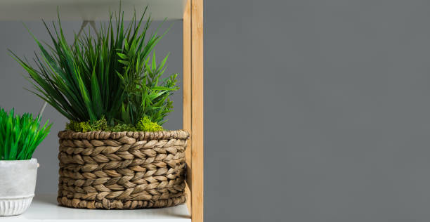 istock Decorative plant on the bookshelf in office 1145214049