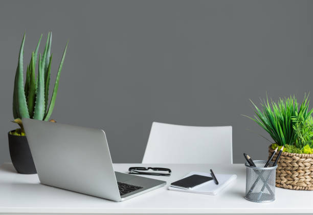 istock Laptop computer and plants on white desk 1145214061