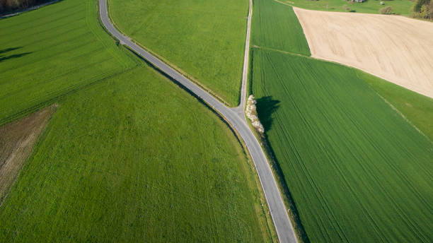 istock Road junction, intersection - agricultural area, aerial view 1145215558