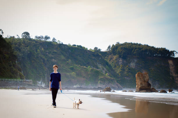 istock Living with Pets 1145216675