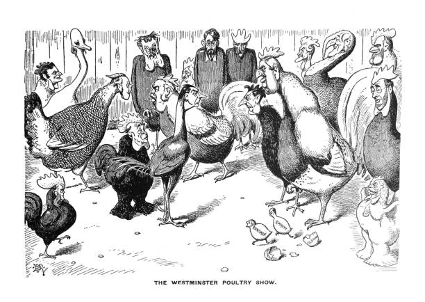 illustrazioni stock, clip art, cartoni animati e icone di tendenza di illustrazioni di caricature di cartoni animati a fumetti della satira britannica - the westminster poultry show - polli umanizzati - caricatura