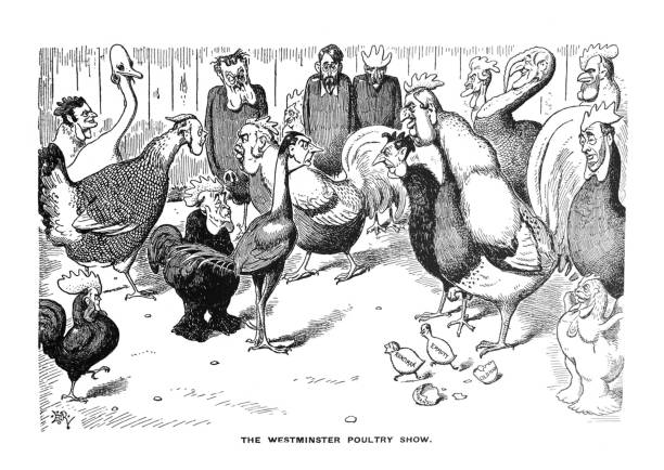 ilustrações, clipart, desenhos animados e ícones de sátira britânica caricaturas desenhos animados quadrinhos ilustrações-the westminster aves show-galinhas humanizadas - chicken eggs animal egg cartoon