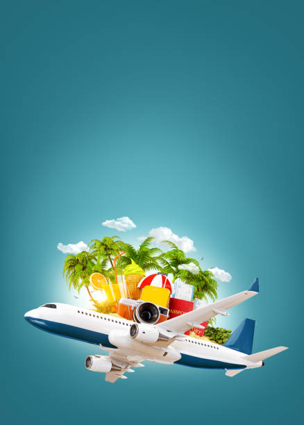 istock airplane and tropical palm on a paradise island 1145223550