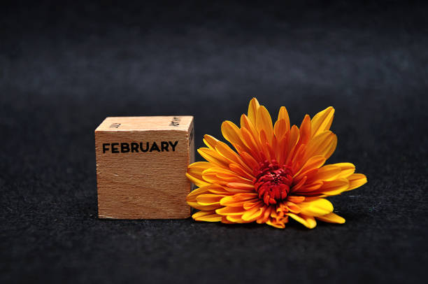 istock February on a wooden block with an orange daisy on a black background 1145229627