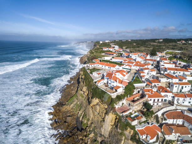 istock Sea Life, Sintra, Portugal 1145232052