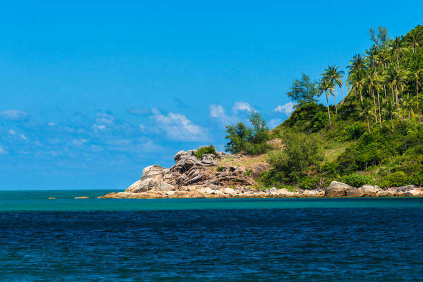 istock Coastline with fresh green trees at a cape and sea water 1145233624