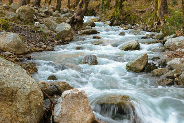 istock Steni village river at Dirfy mountain, Evia 1145245520