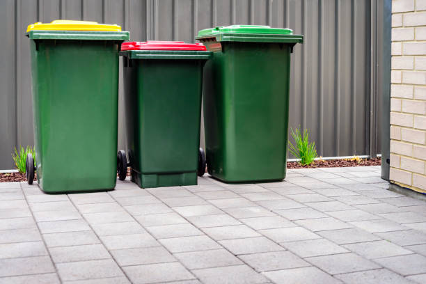 istock Australian home wheelie bins set on backyard 1145245667
