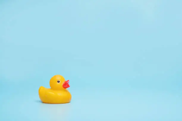 Photo of Yellow rubber toy waterfowl on a blue background. Save your space, the concept of the pool.
