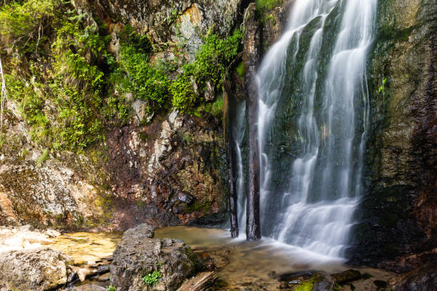 istock Mountain waterfall in summer forest. River with wet stones and plants on shore. 1145249283